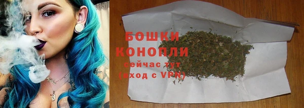 прущие грибы Аркадак