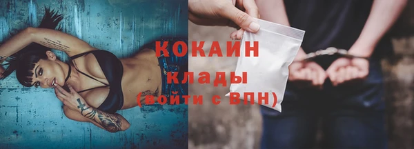 прущие грибы Аркадак
