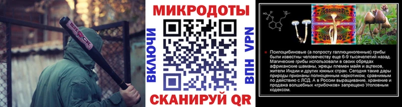 Галлюциногенные грибы прущие грибы  Бологое 